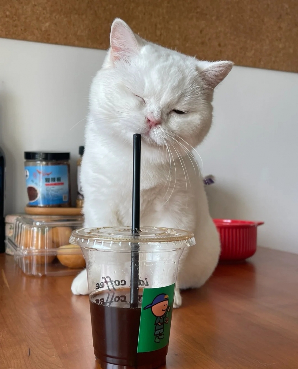 奴才：真的是隻叛逆的主子啊