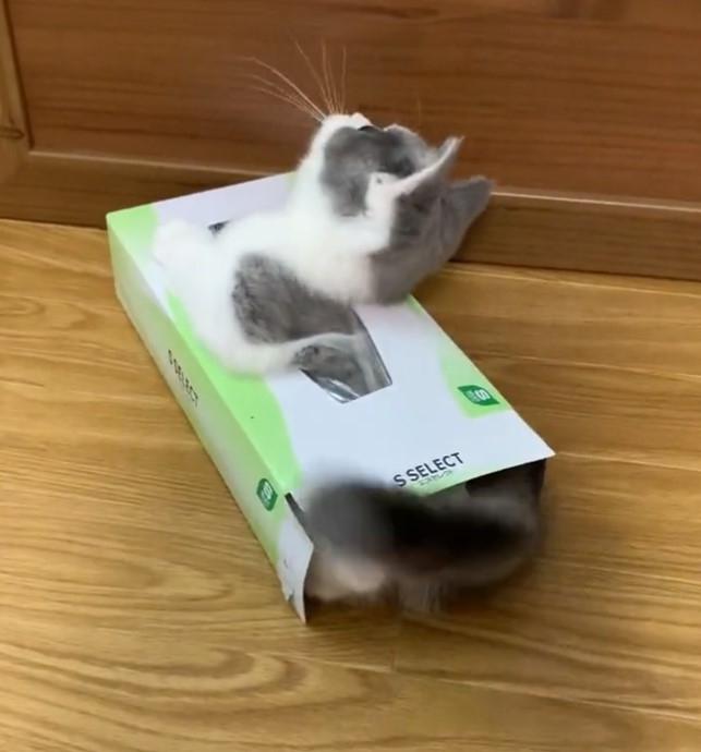 奴才：好吧~這還真是你的強項呢！