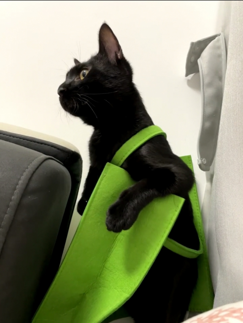 奴才：好喔~那等我一下吧