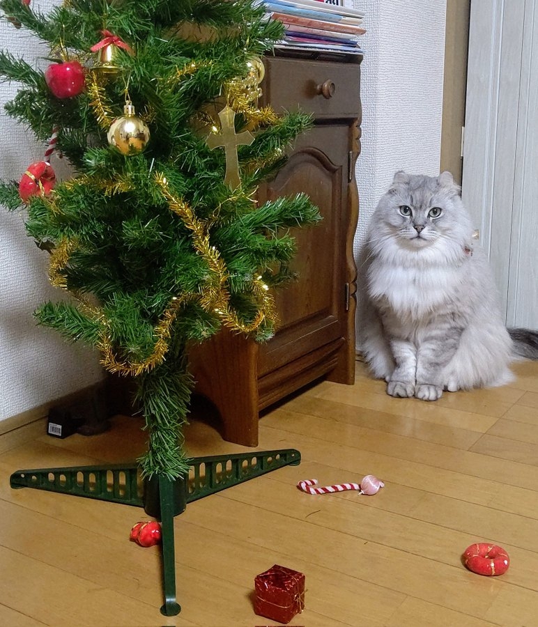 奴才：沒事，之後我會再裝扮好的