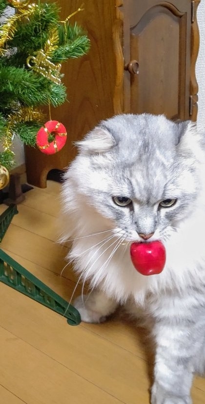 奴才：也不是不行啦