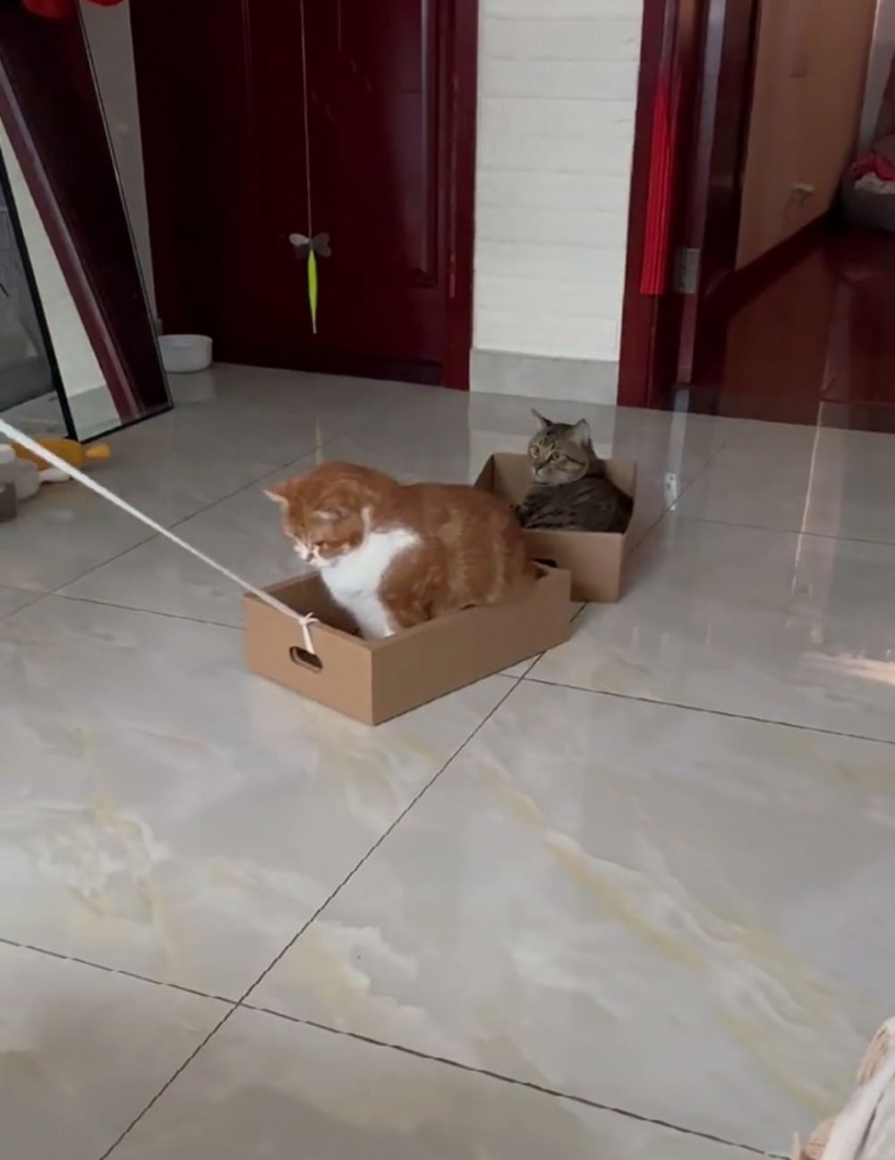 奴才：會說話捏！還算欣慰啦