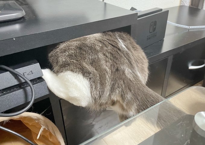 奴才：你還是面對現實吧~