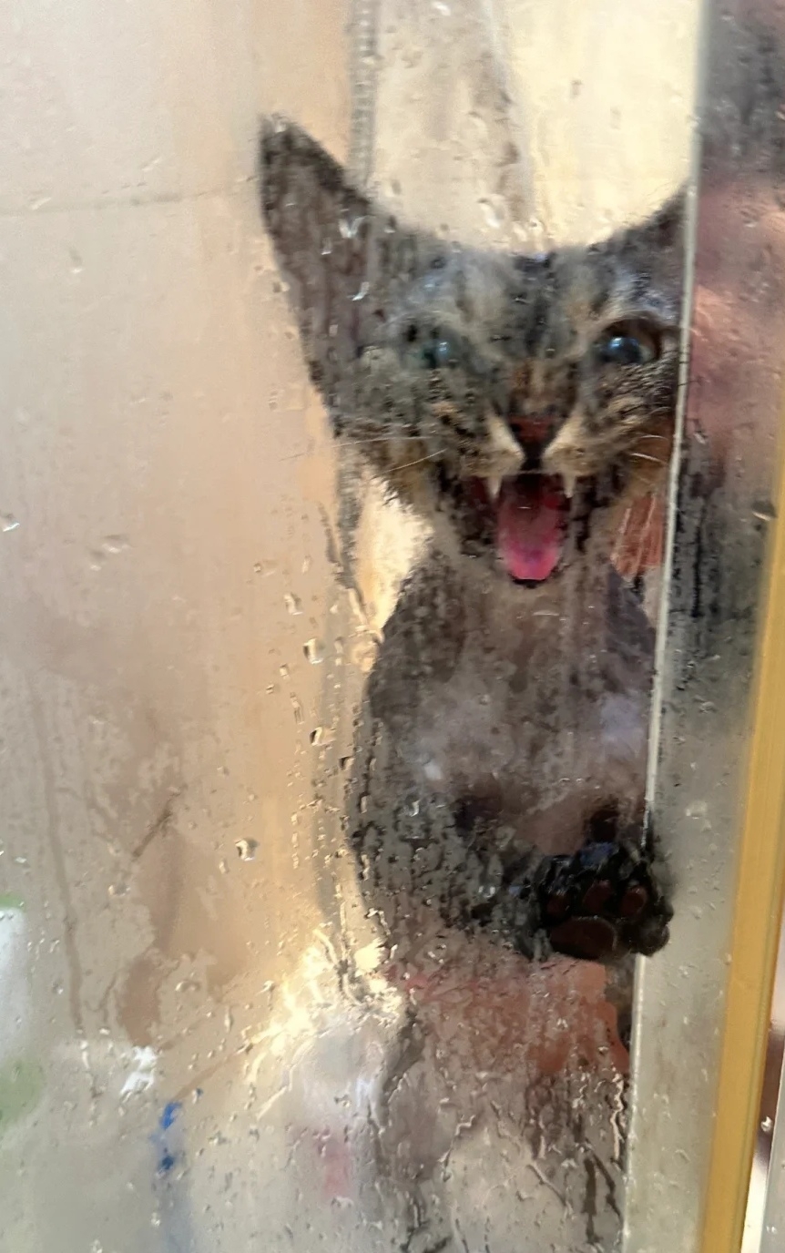 喵：很難克服的心理障礙