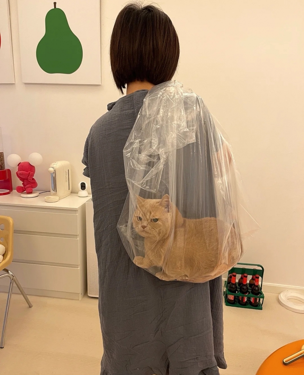 喵：連麻袋都沒有還好意思來偷貓！