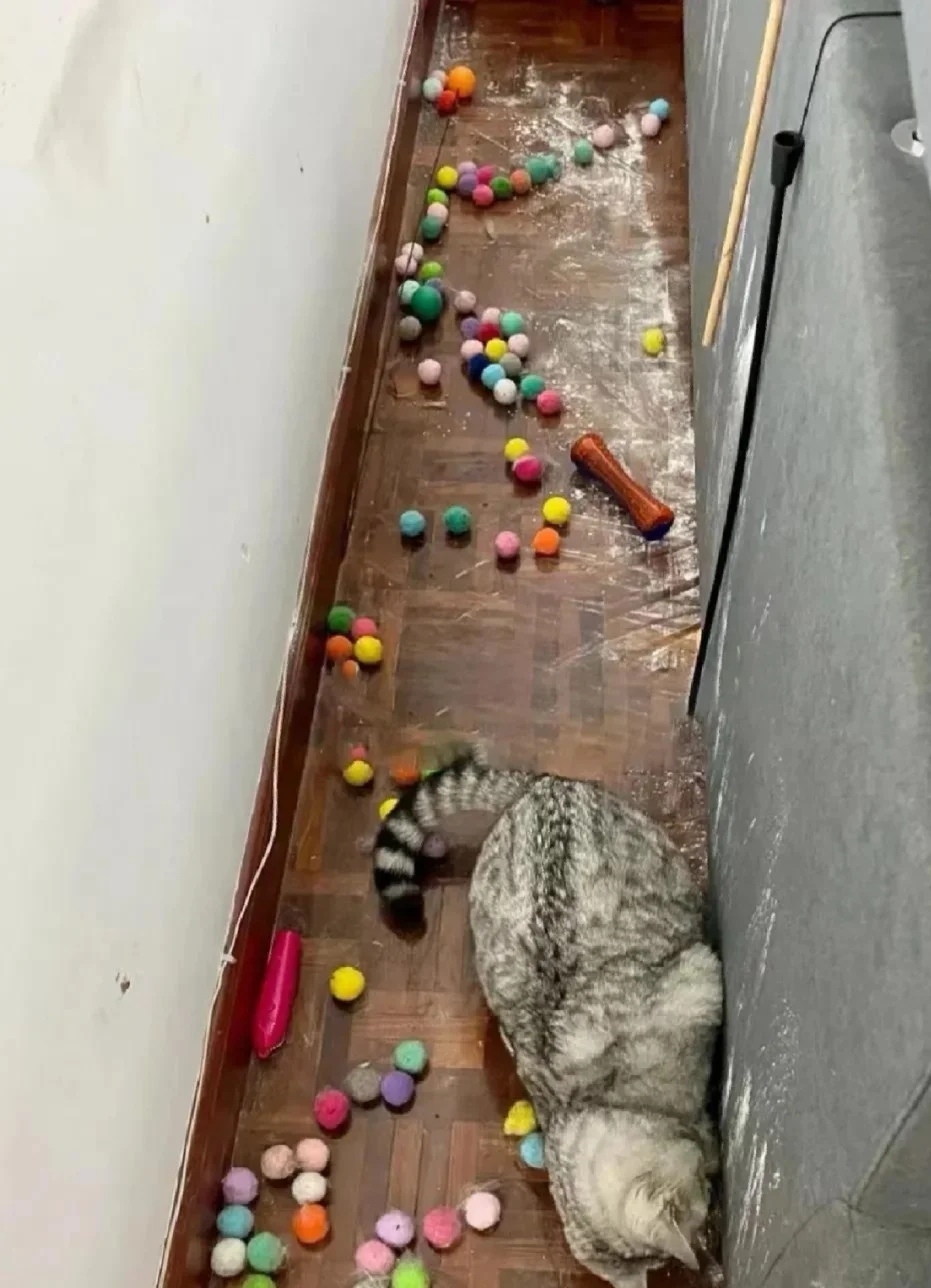 奴才：你都這樣說了，就原諒你吧