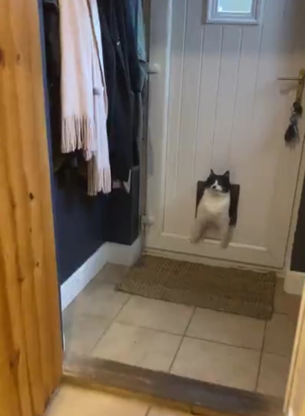 奴才：好像也沒有完全進到捏