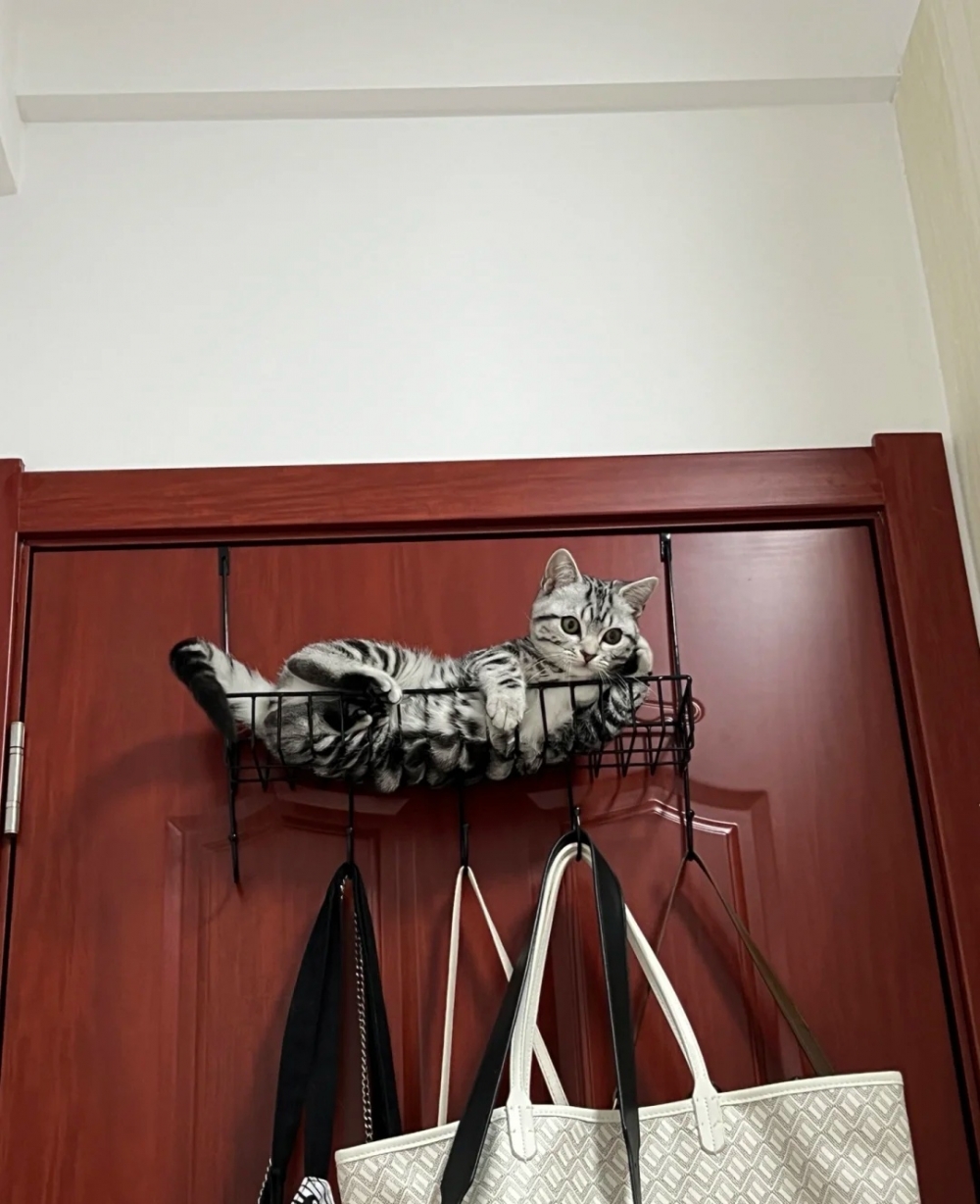 奴才：額！你想幹嘛喔