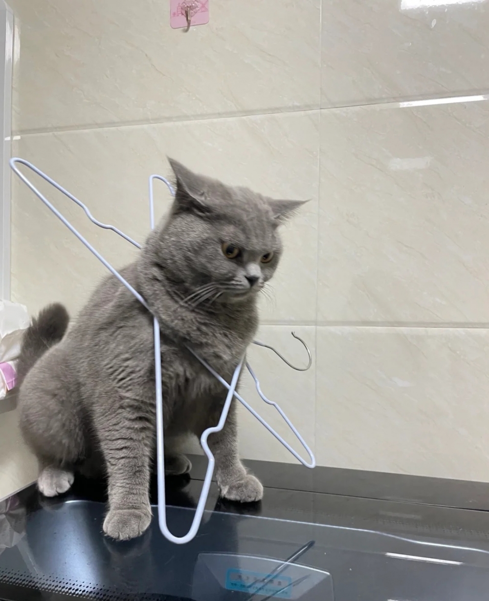 奴才：好吧~誤會你了