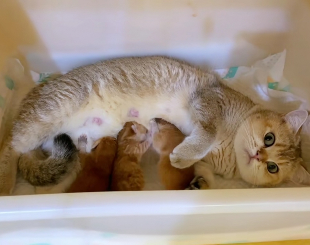 奴才：可能是一種另類的聯絡感情的方式吧~