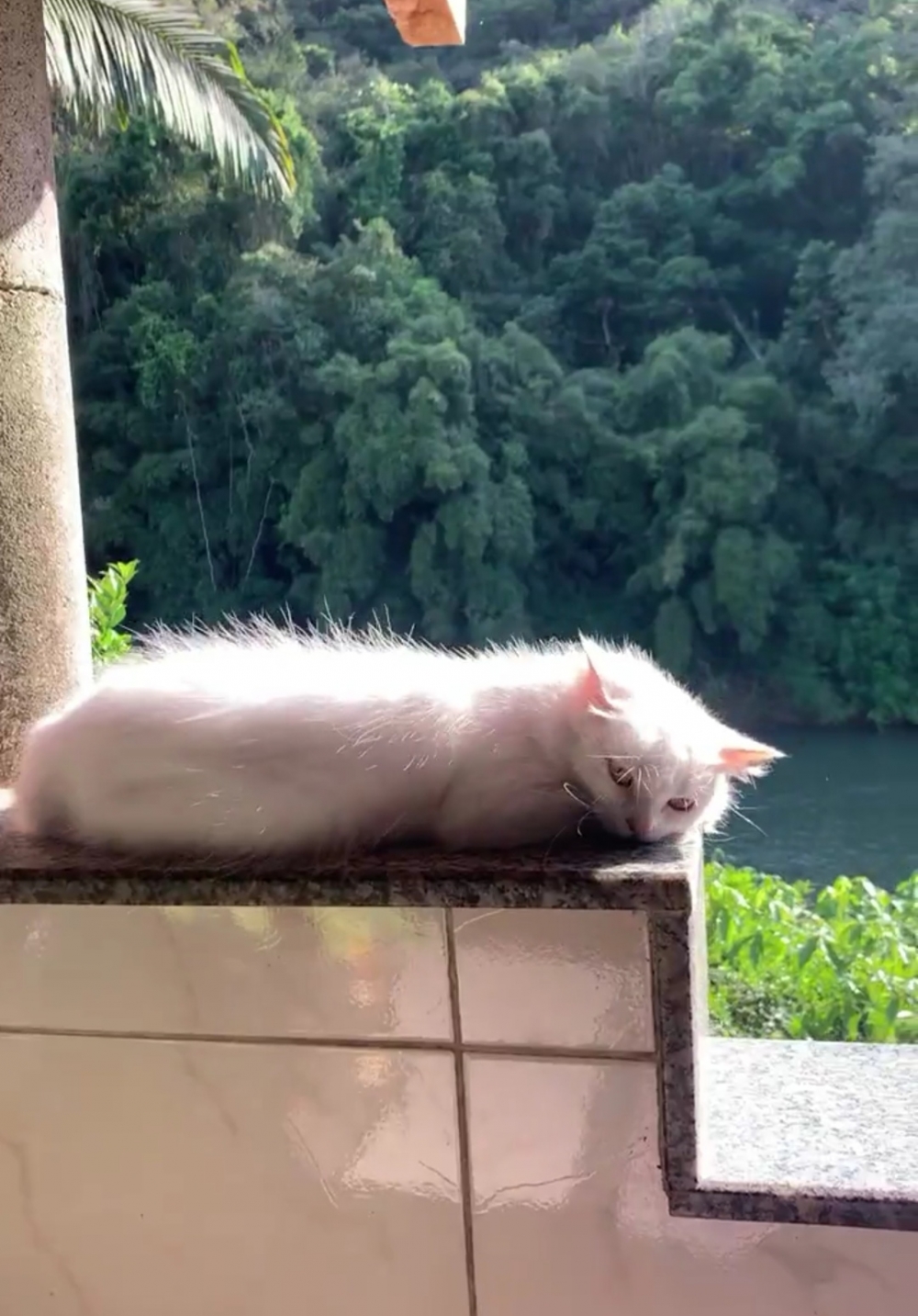 奴才：這是自己誇獎自己嗎？