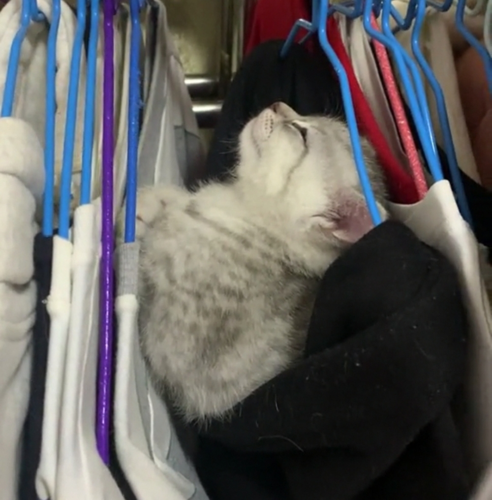 奴才：太危險了吧~