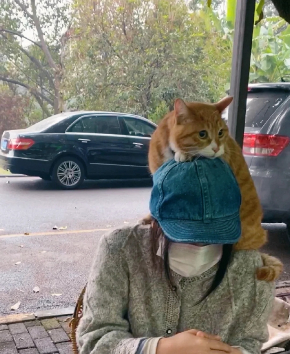 奴才：又打開了你的新世界嗎?