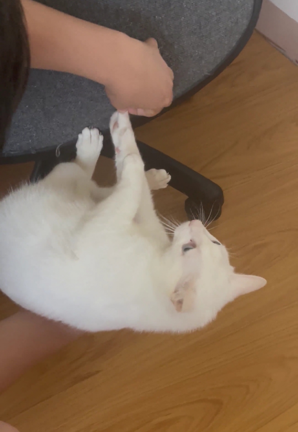 奴才：救！當然救啊