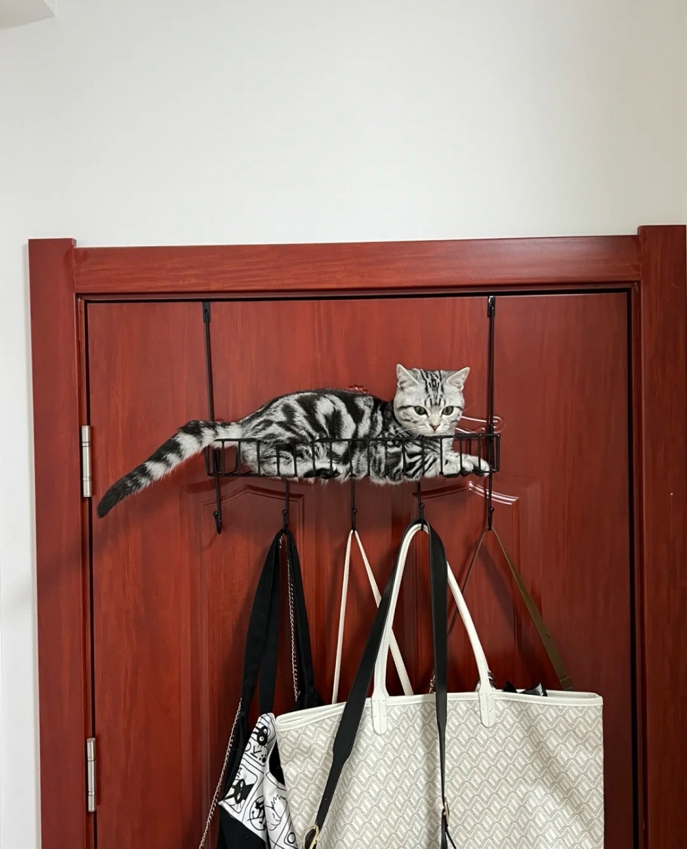 奴才：好吧~有被你吸引到啦！