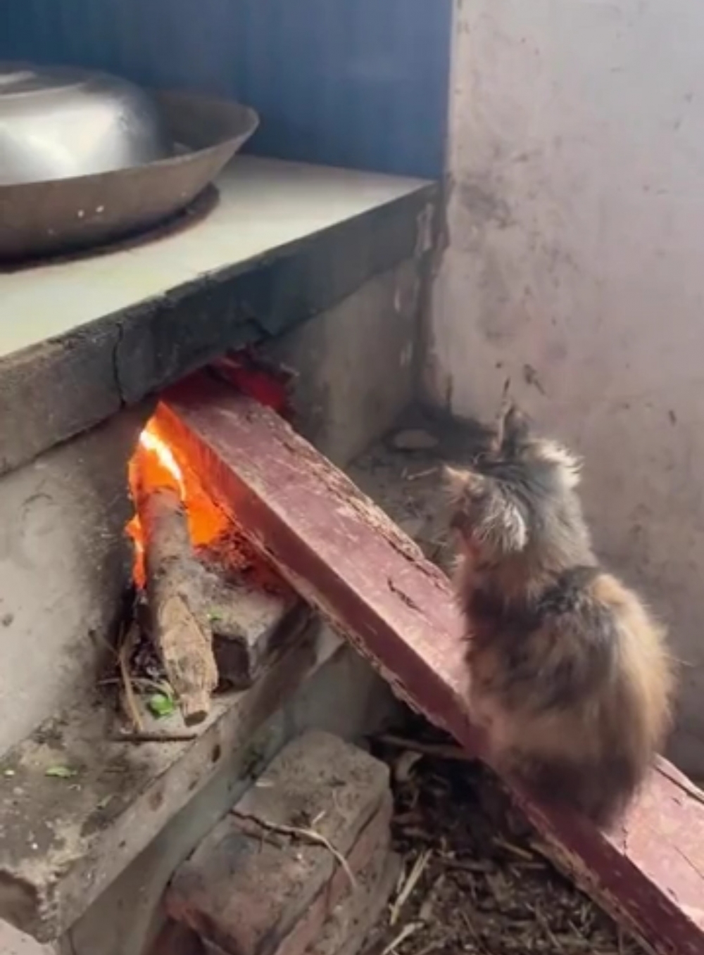 奴才：喲~那麼厲害嗎？