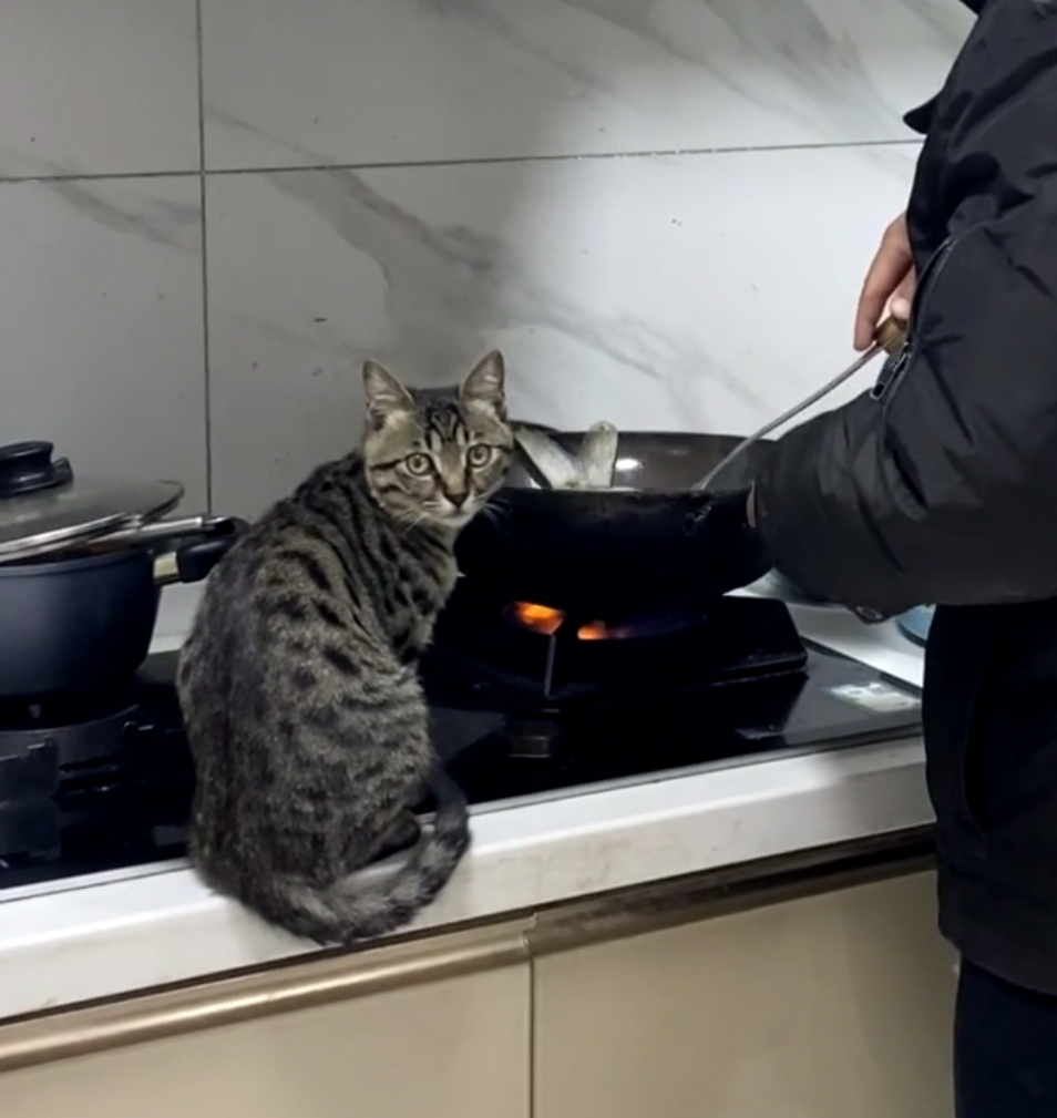 奴才:還沒有煎好啦