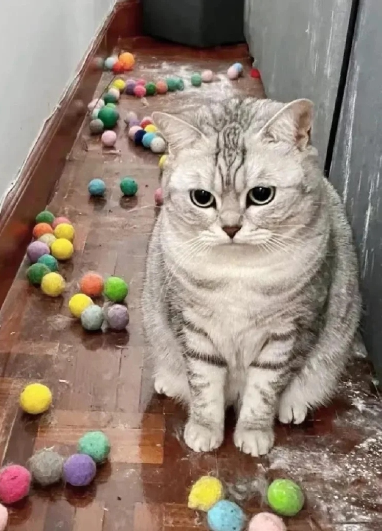 奴才：那就要看你的表現了