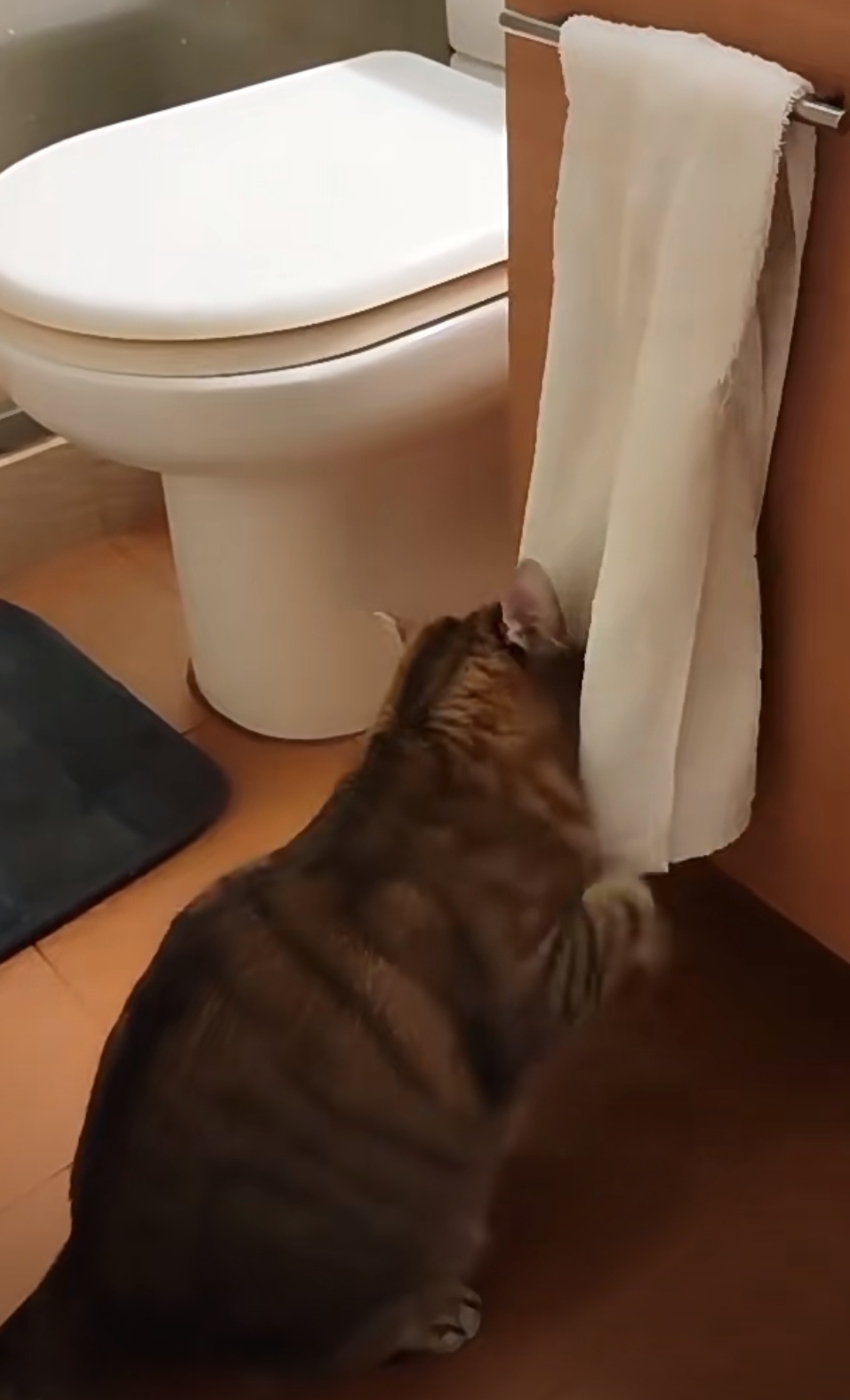 奴才：又是香香的了