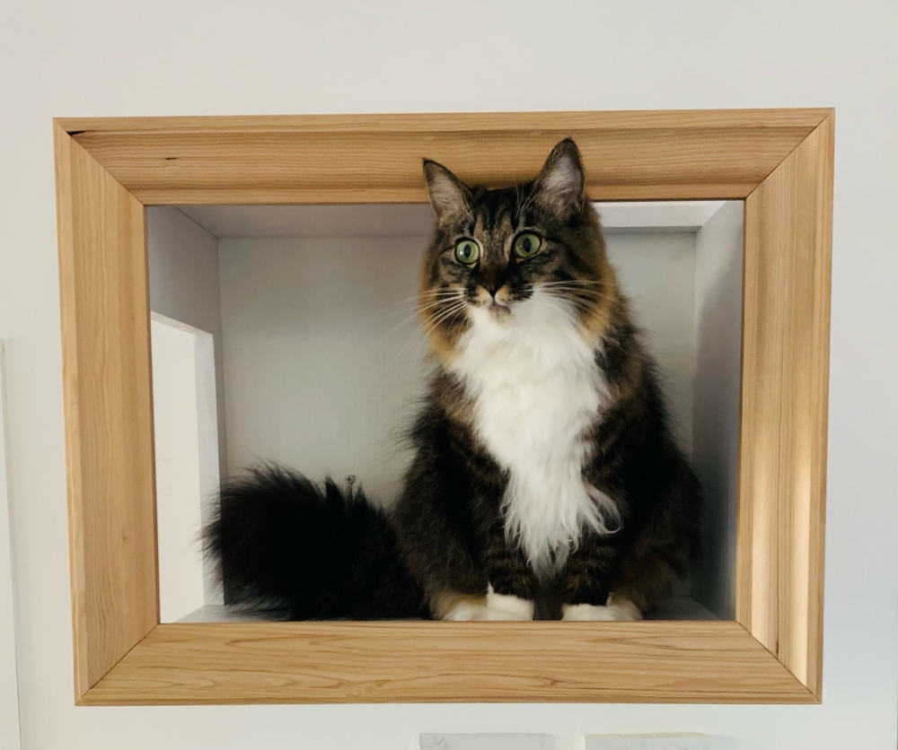 奴才:這一次的手作好值得呀