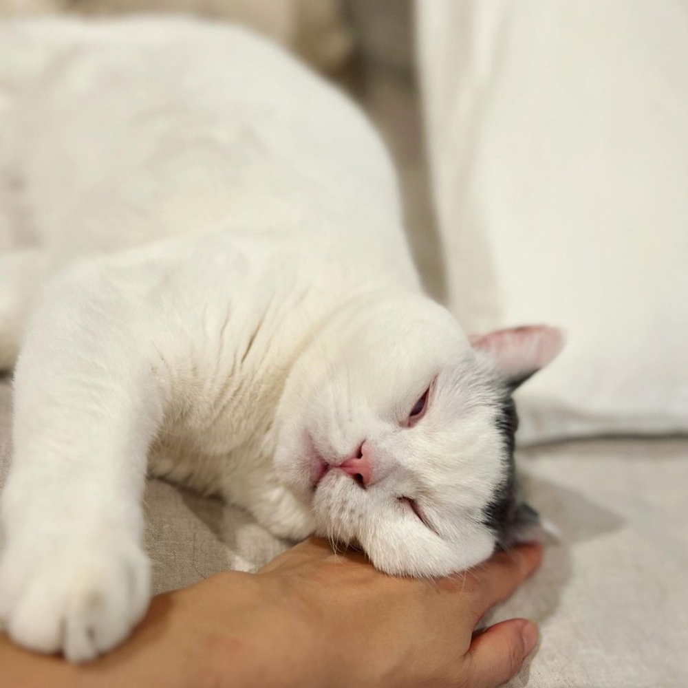 奴才：把我當成供暖的嗎？