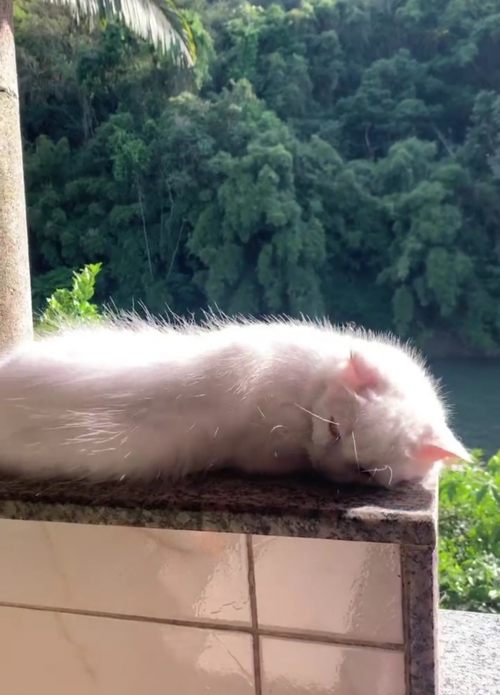 奴才：自信是好事啦