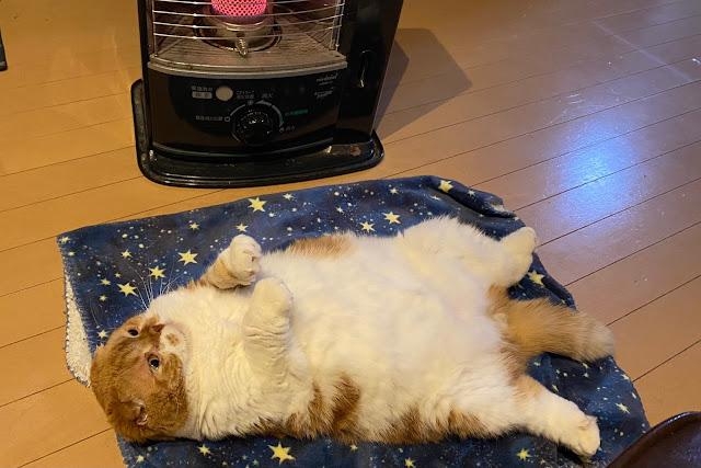 奴才：我倒是想啊~但是家務還沒做完