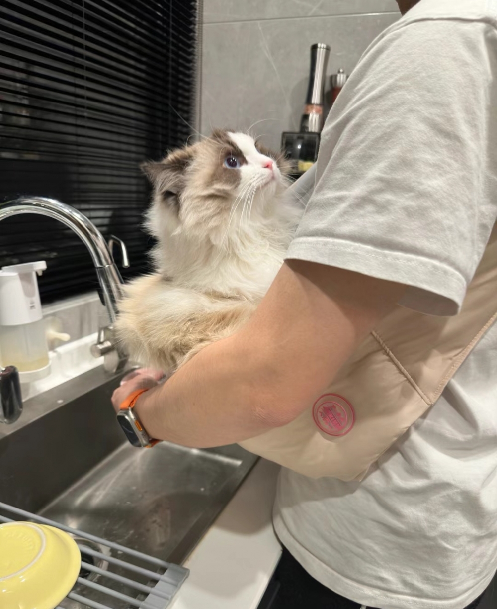 奴才爸爸：沒事，爸爸護著你~