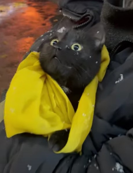 奴才：先適應一下，下次就讓你玩個夠