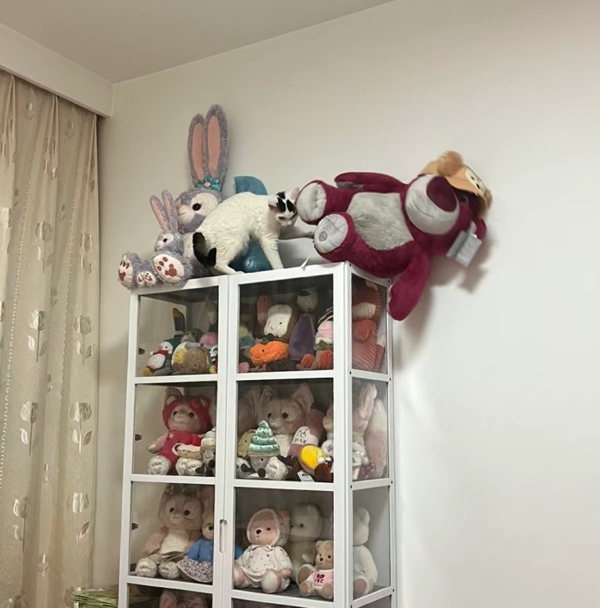 奴才:那個...我的娃娃好可憐啊