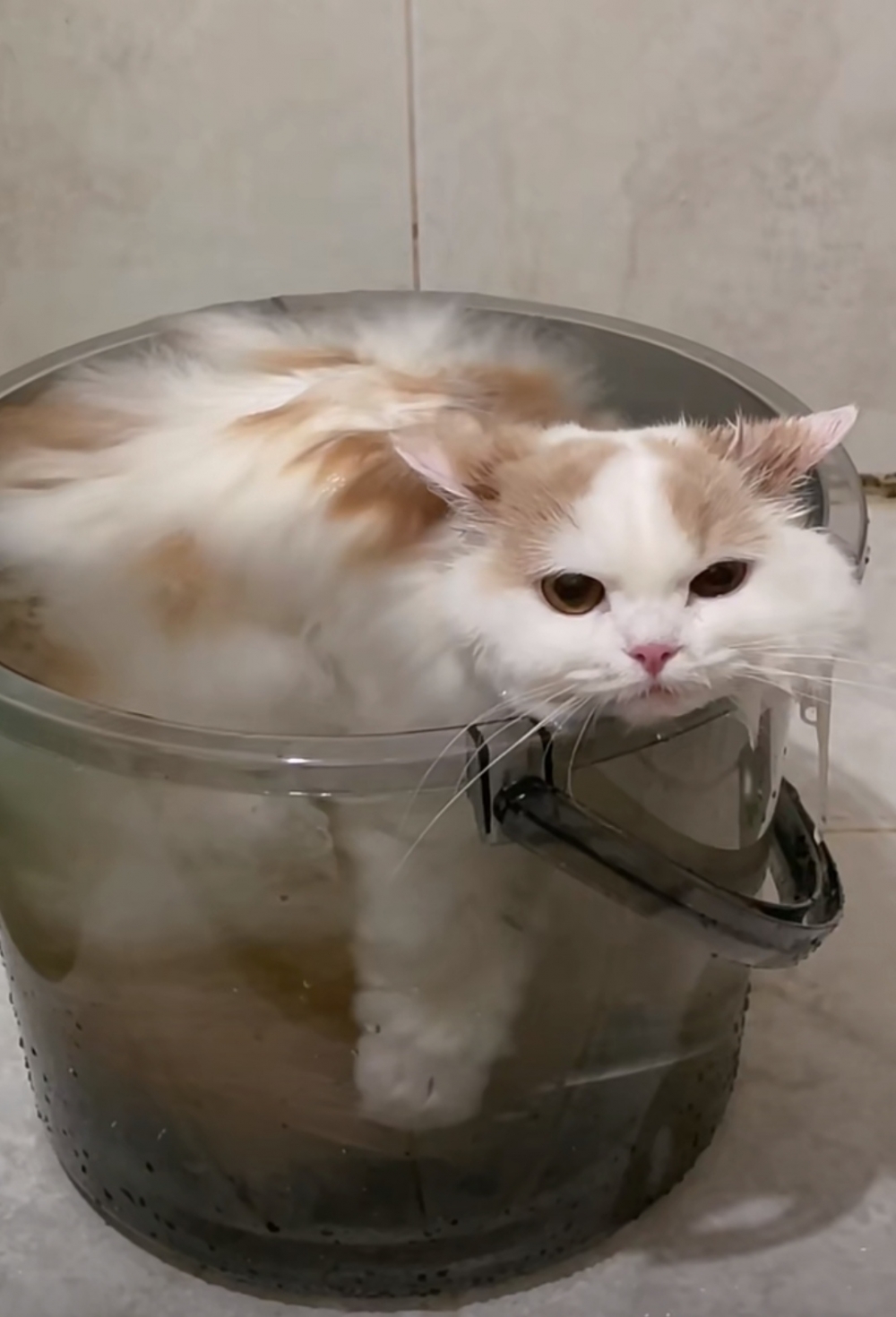 奴才：別緊張！先讓你放鬆一下囉