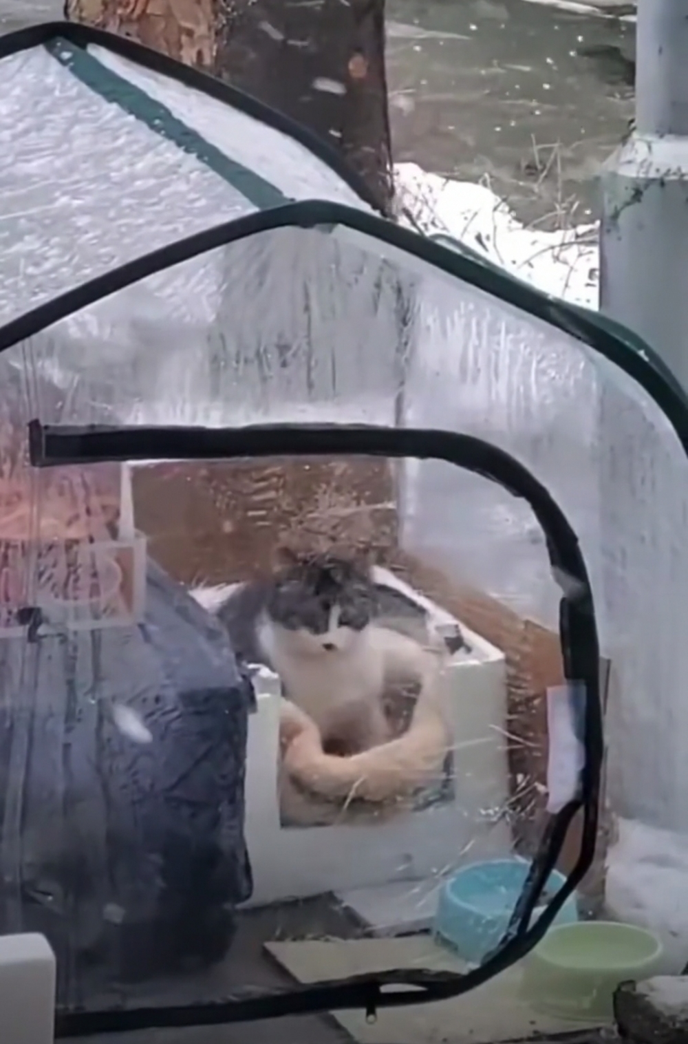 奴才：還好你現在有了一個溫暖小家