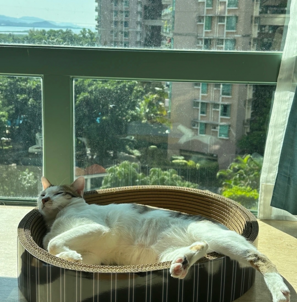 奴才：曬個太陽都那麼多姿勢的嗎？