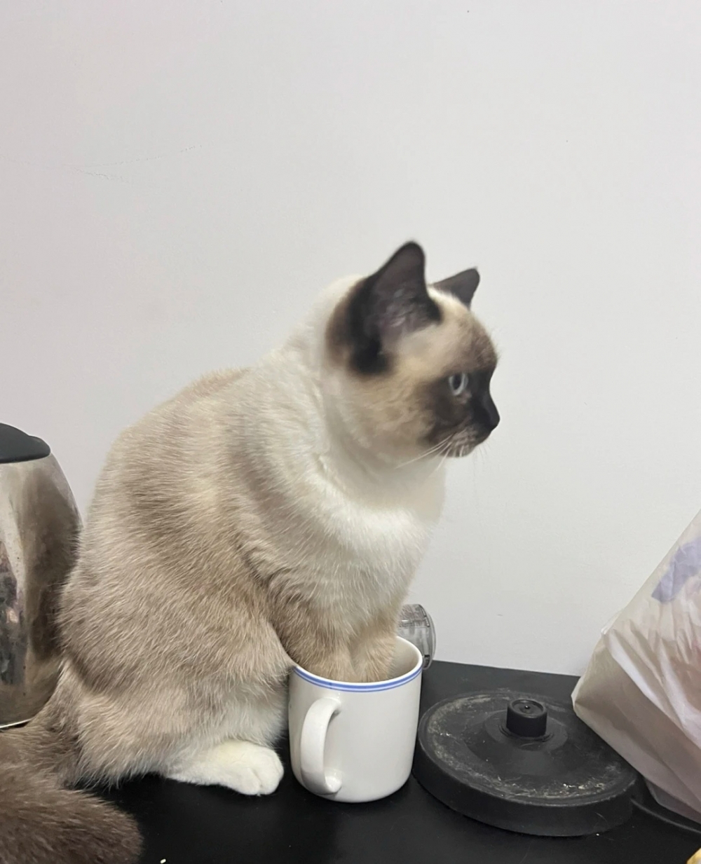 奴才：我的杯以後還能用嗎？