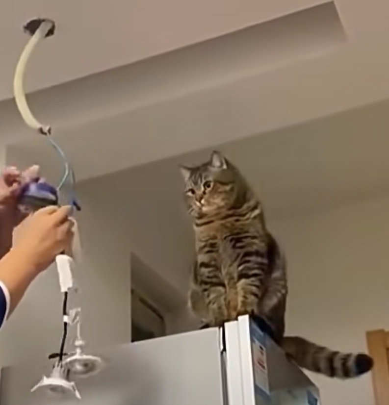 奴才：你有人家專業嗎？