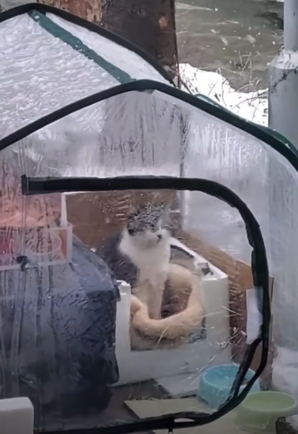 奴才：那就好好休息吧~