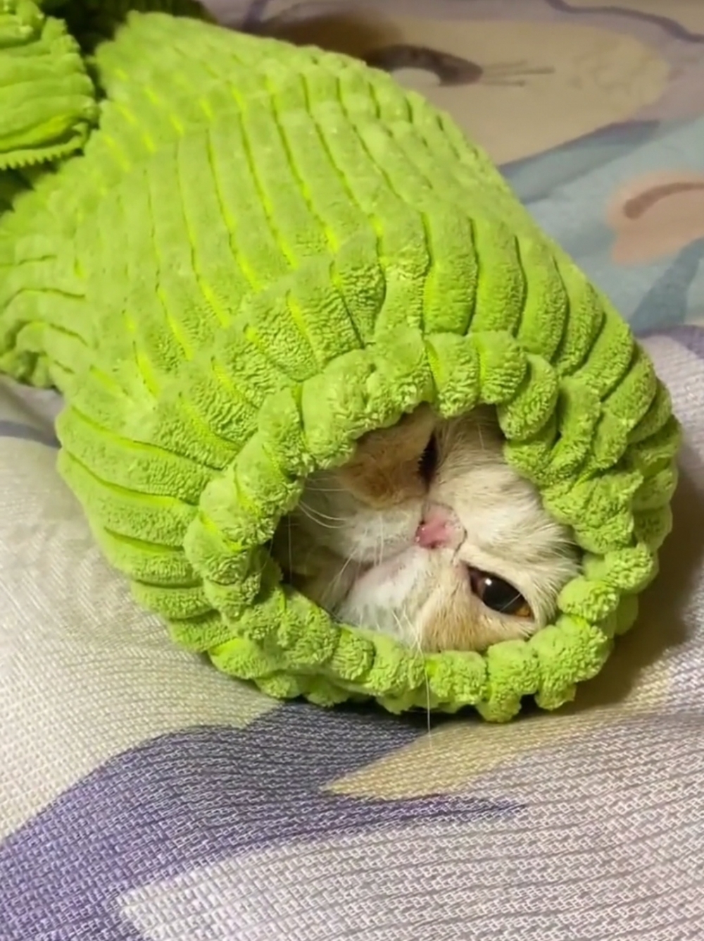 奴才:你太壞了都不出聲