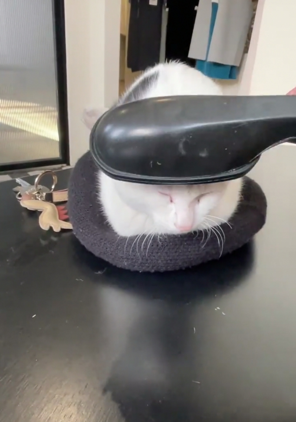 奴才：心態真好，那我繼續囉！