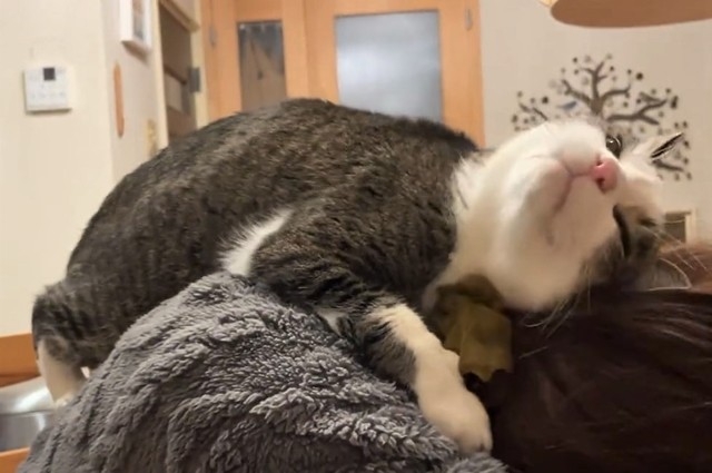 奴才：小心，抓穩喔