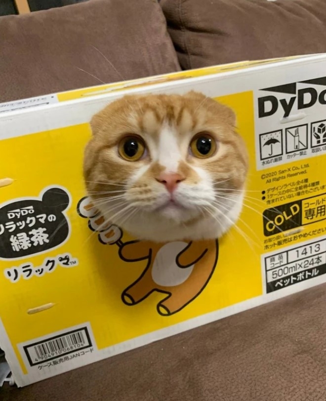 奴才：好吧~這麼說好像也對