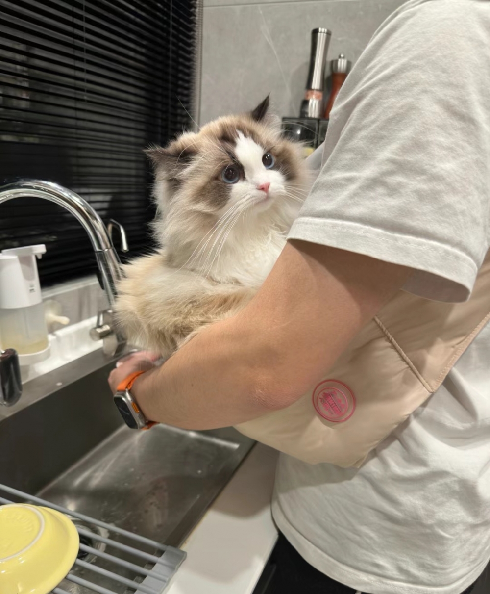 喵：朕是不介意啦