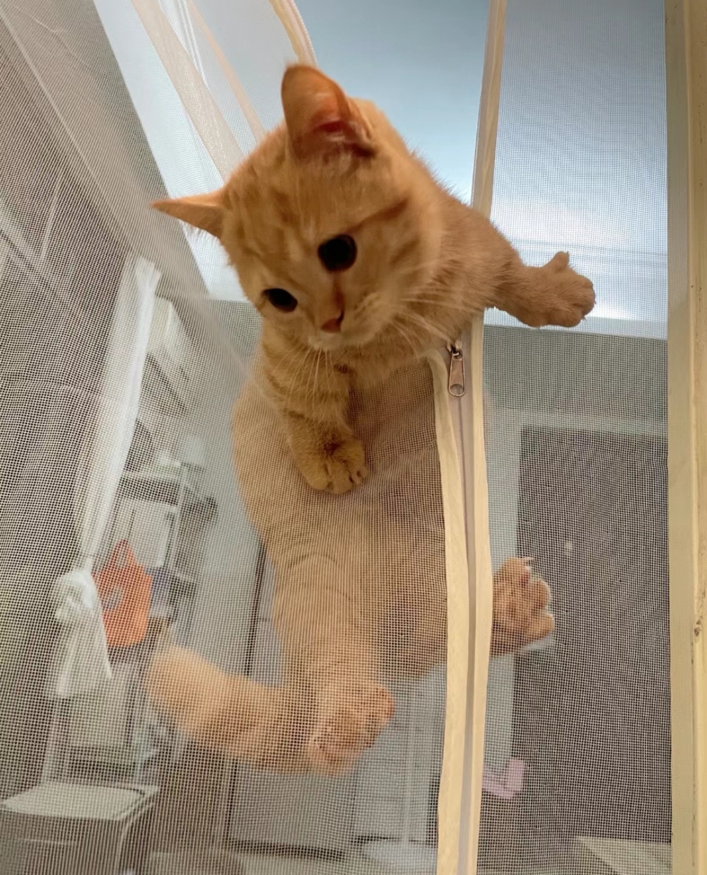 奴才:這裡沒有外人看到,沒關係啦