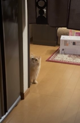 奴才：好吧~先讓你墊墊肚子