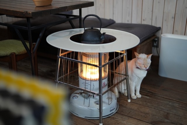 奴才：收到~了解啦