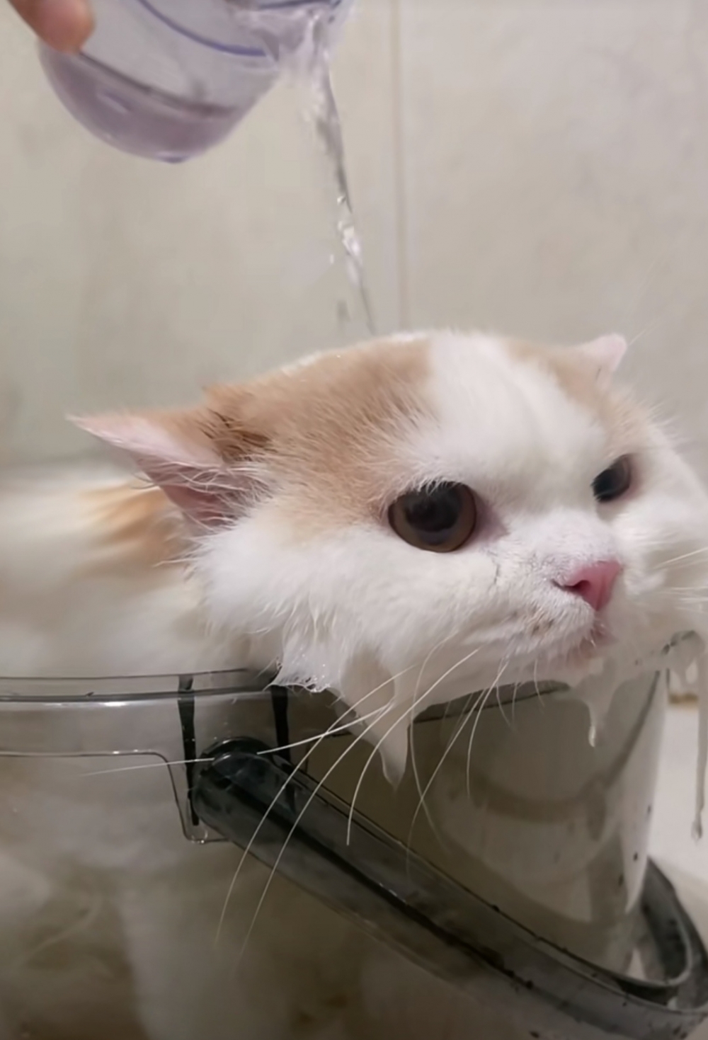 奴才：沒有人會看到的