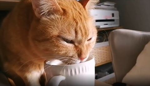 奴才：也太誇張了吧~