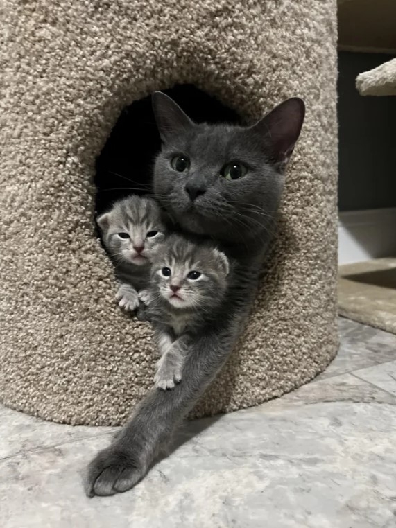 奴才：無可否認，是相當可愛啊~