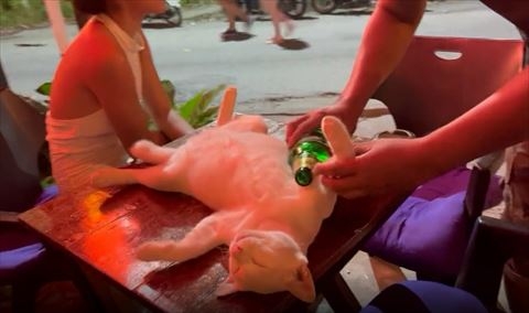 員工：好厲害招攬生意啊！