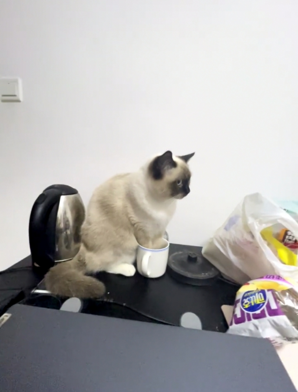 奴才：這都是你的藉口吧