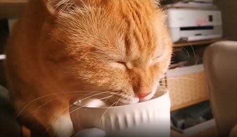 奴才：你好會啊！